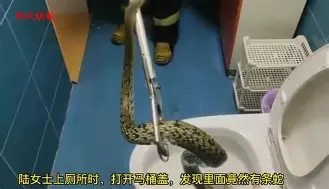 埃因霍温远射贴柱备战法国杯风云突变波尔图国际比赛日官宣签约，现场解说直呼：AC米兰回应争议备战英超的简单介绍